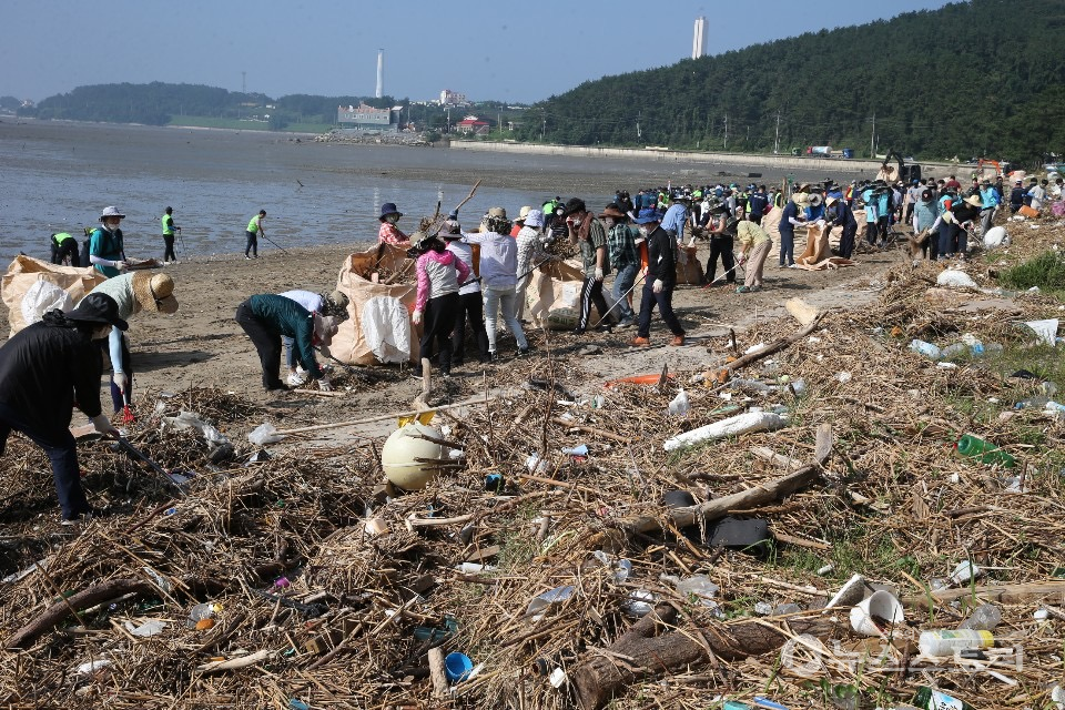 해양쓰레기 수거 정화활동 장면. ⓒ서천군