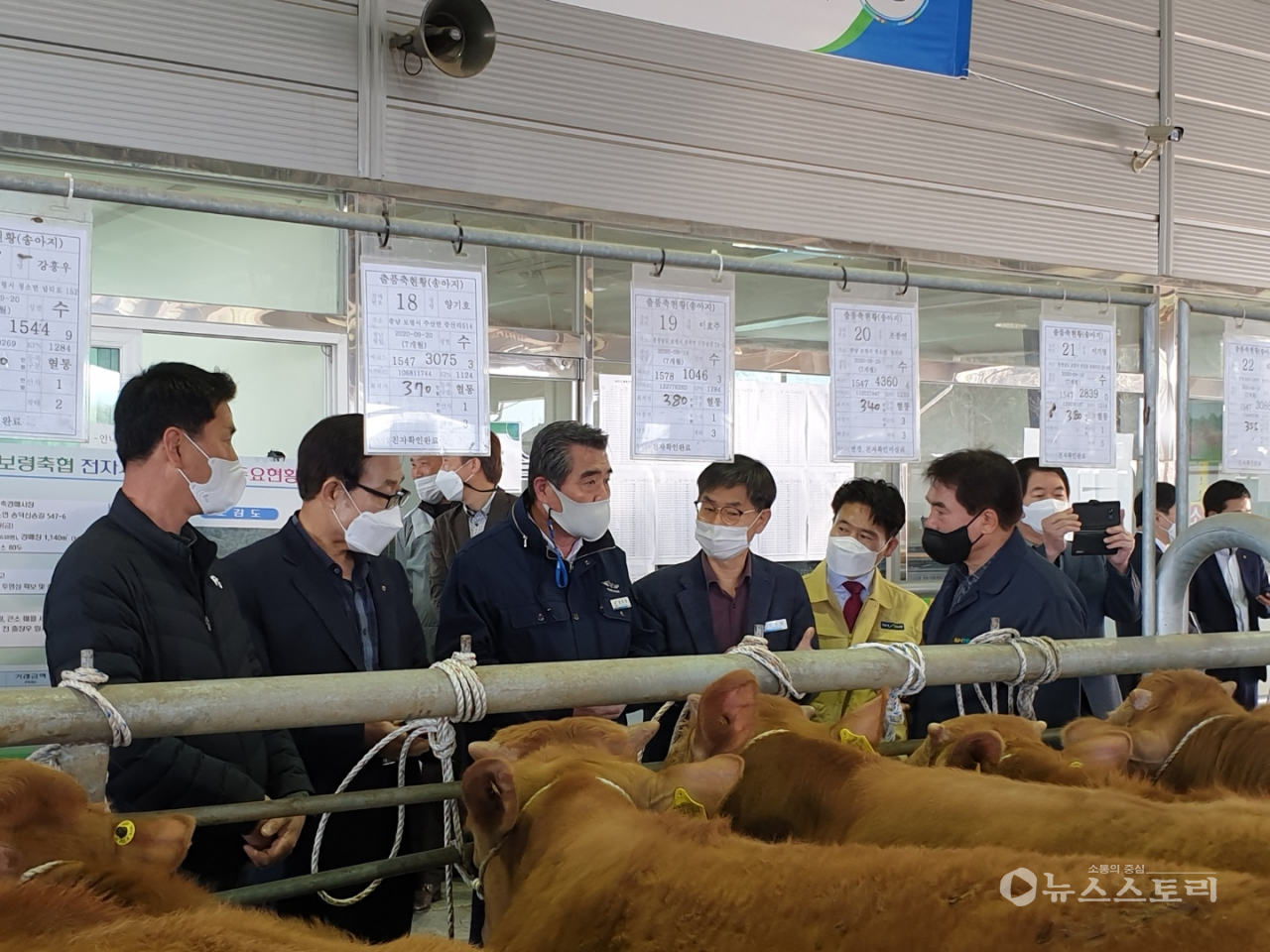 김동일 시장 가축경매시장 방문 장면. ⓒ보령시