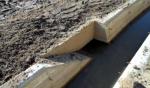 충남, 콘크리트 물길에 '개구리 도로' 톡톡