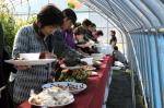 충남 보령에서 과일과 채소의 '팜파티(Farm Party)' 개최