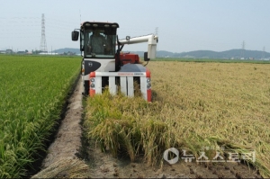 쌀값 20년 전 수준…서천지역 농민 “어떻게 살라고”