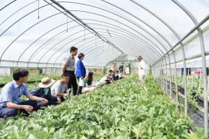 서천군농업기술센터, 농업기술보급 시범사업 신청 접수