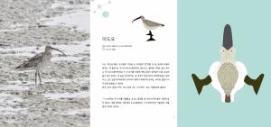 국립생태원, 종이공작+생태정보 담은 '갯벌을 걷는 도요새' 발간