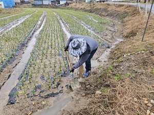 서천군농업기술센터 '잦은 강우 및 이상고온' 월동작물 중점관리 당부